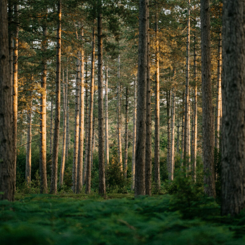 Lägre resursåtgång i hela byggprocessen
